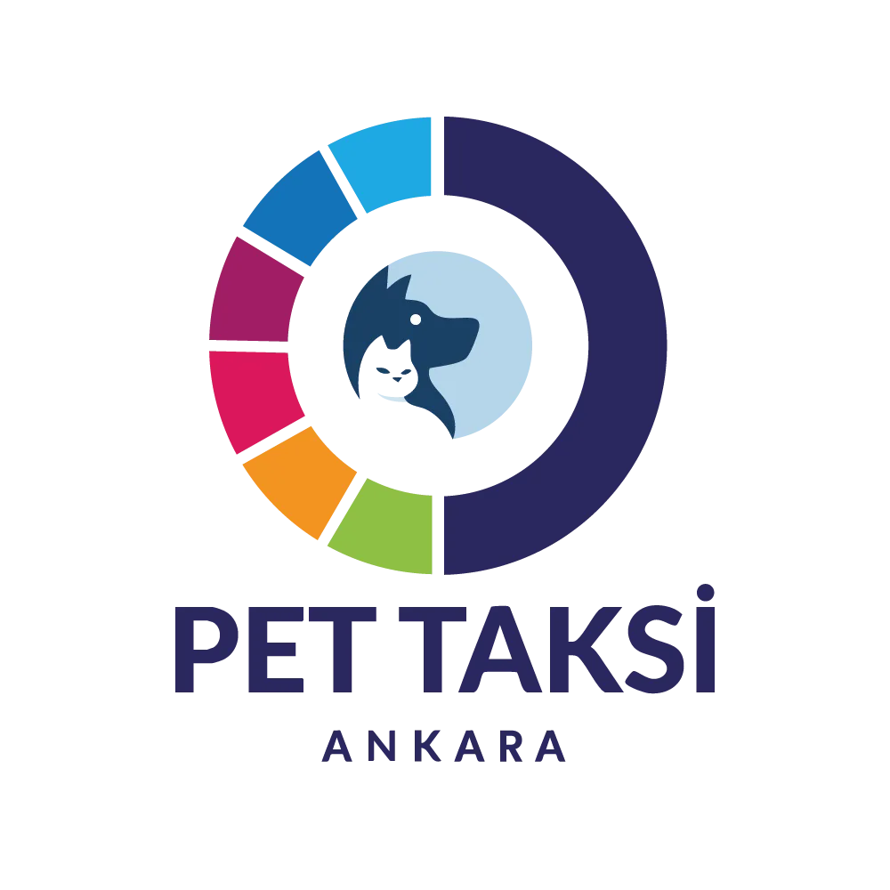 Ankara Pet Taksi